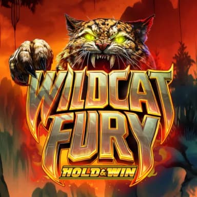 rv-Wildcat-Fury-square.webp
